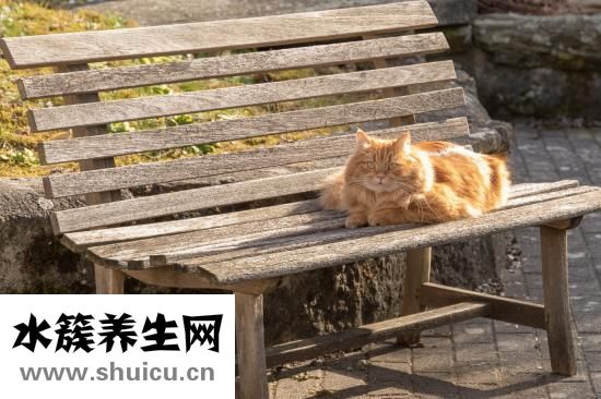 小孩咳嗽嘔吐