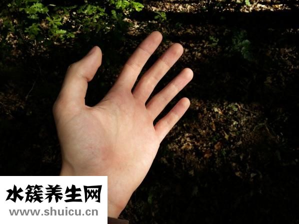 怎么樣瘦胳膊