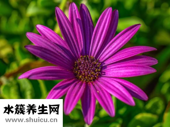 小腹兩側疼痛