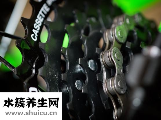 修復牙釉質