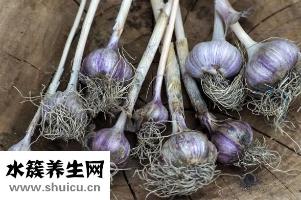 怎么調蒜汁水