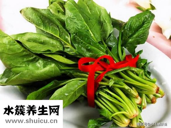 什么菜養胃