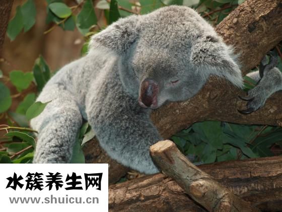 心臟突然疼