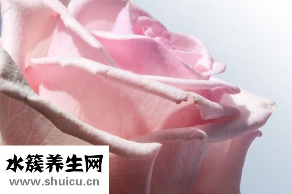 失血性貧血