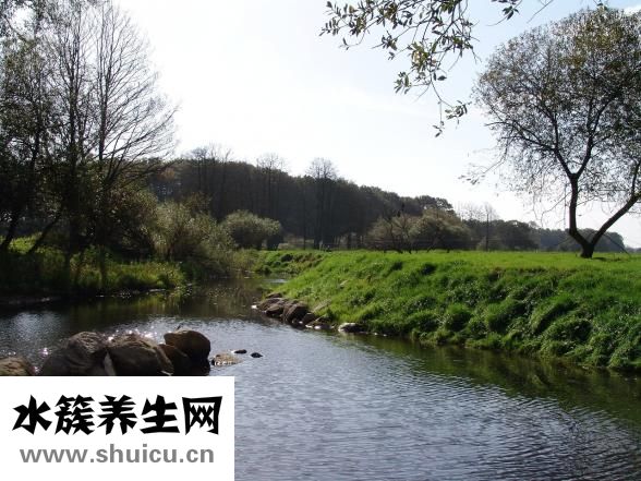 抑郁用什么藥