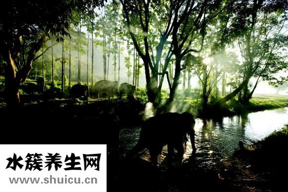 抑郁用什么藥