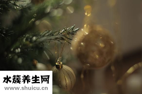 前庭神經炎