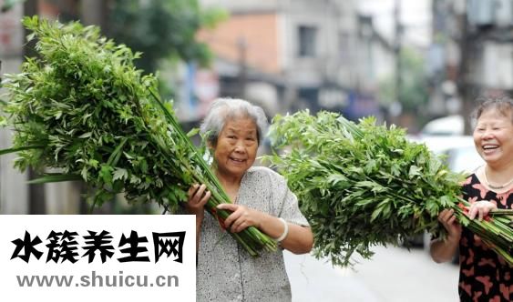 什么藥去濕氣