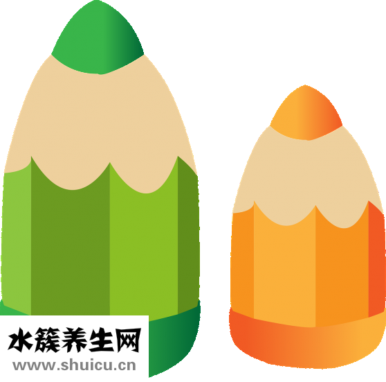 怎樣有效瘦臉