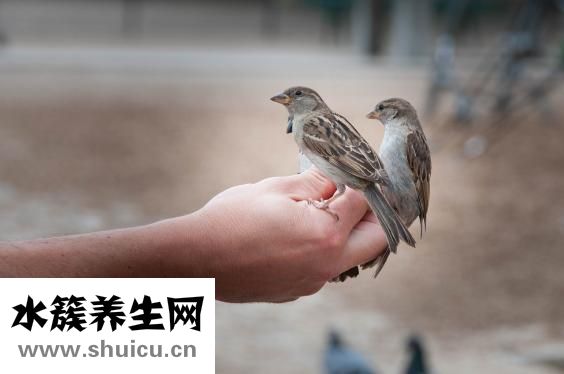 孕晚期白帶多