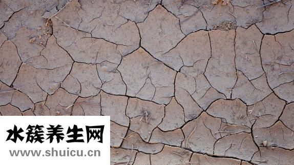 孕婦能吃蒜嗎
