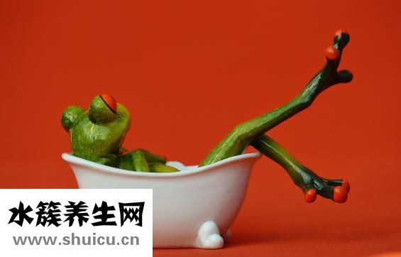 山楂片熱量