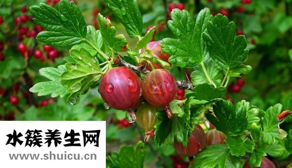 外痔能自愈嗎