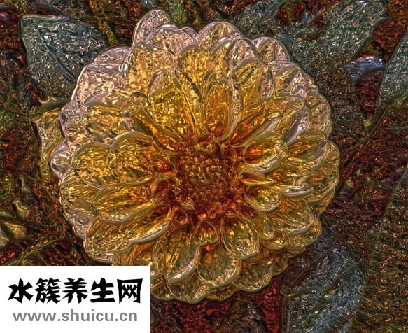 心悸的原因