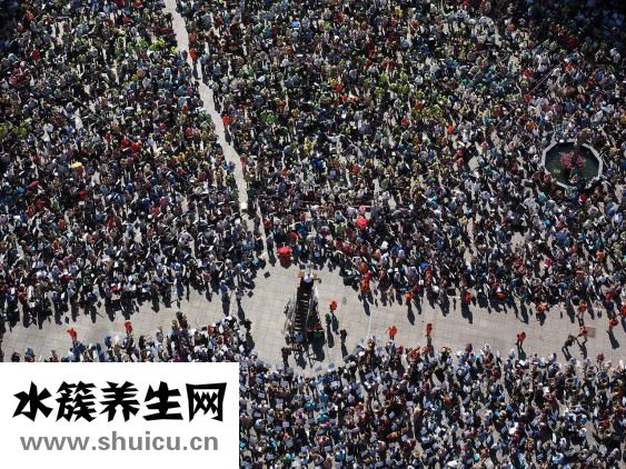 發質硬好還是軟好