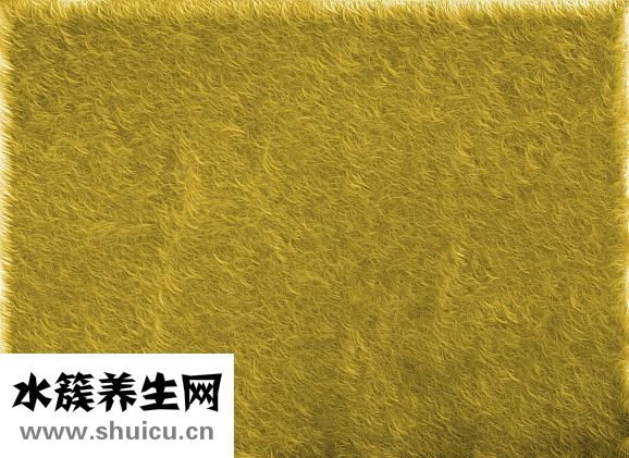 不洗臉的好處