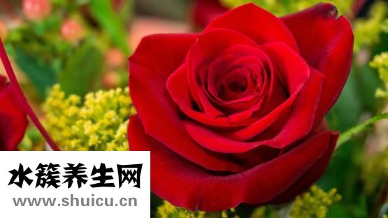 嗜睡癥的表現