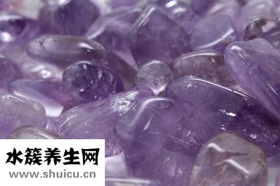 吃板栗會胖嗎