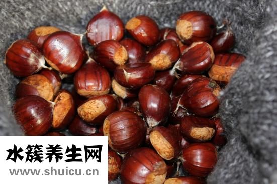 吃板栗會胖嗎