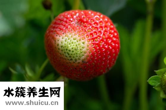 一個角一個瓜