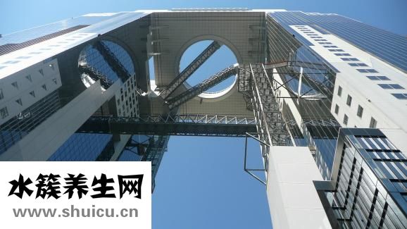 醫療美容專業