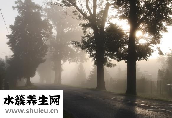 人參怎么吃才好