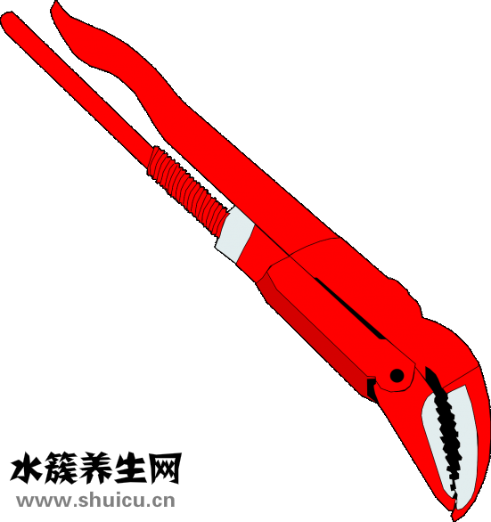 什么是辟谷減肥