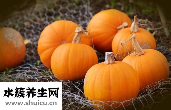 什么粥養胃