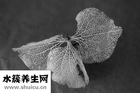 心電圖怎么做