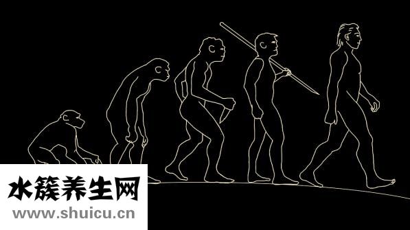 山藥的好處