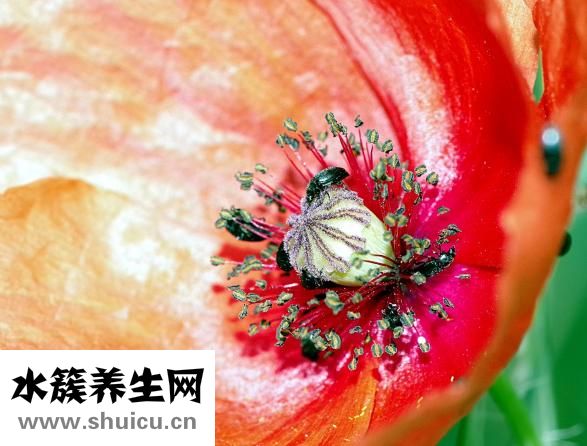 心電圖怎么做