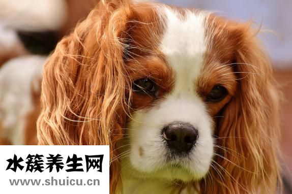 早上起不來
