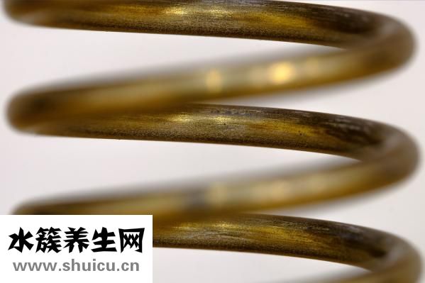 增肌訓練方法