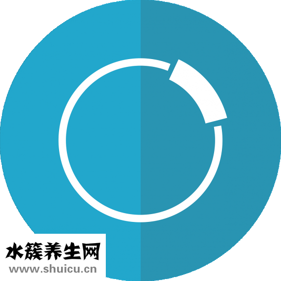 葉酸基因檢測