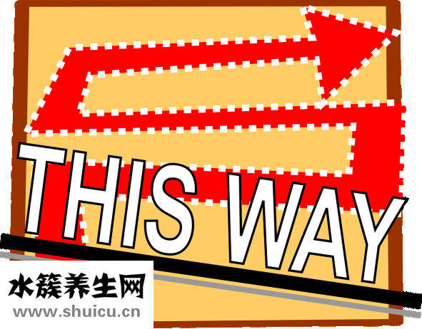葉酸基因檢測