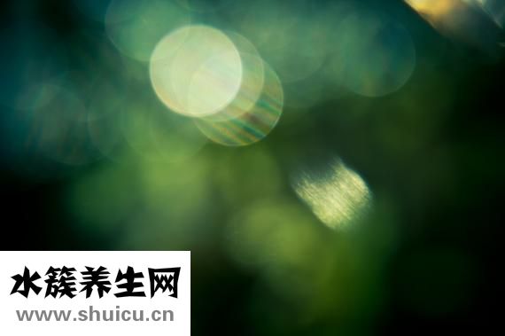 為什么頭頂會痛