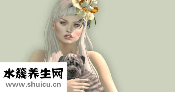 女貞樹圖片