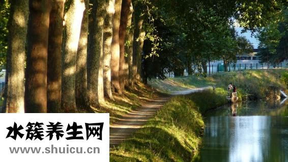 頭孢泊肟酯
