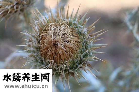 依巴斯汀片的作用