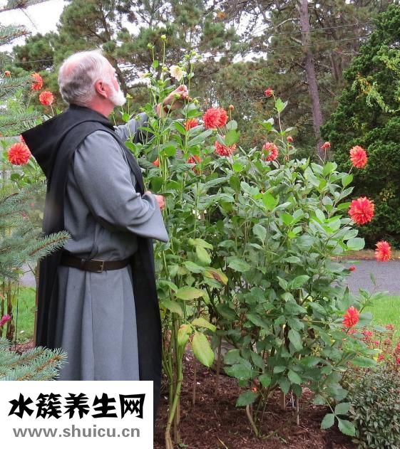 千里追風油