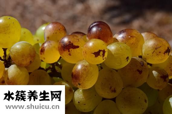 什么是尿毒癥