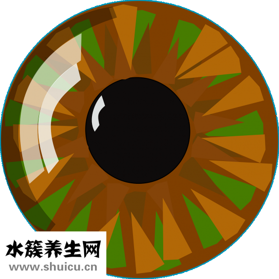 十二指腸淤滯癥