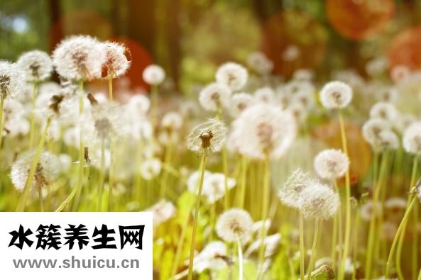為什么頭頂會痛