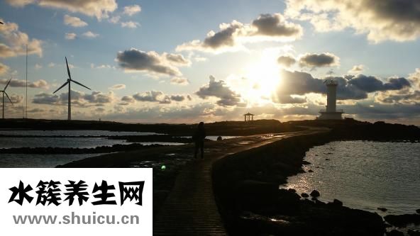什么蝦最好吃