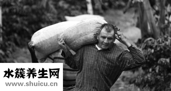 什么叫痛風