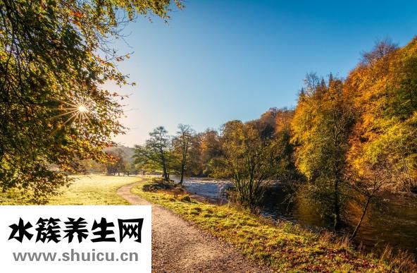 晚上能吃姜嗎
