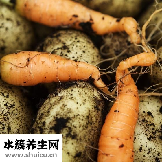 山藥燉豬蹄