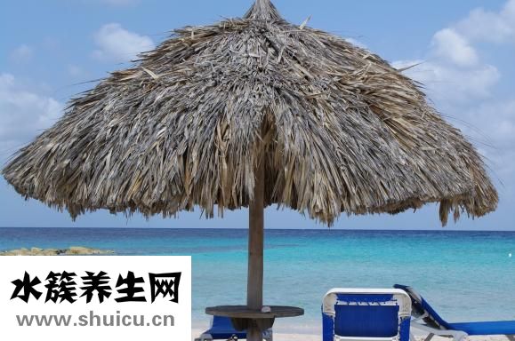 左髕骨骨折
