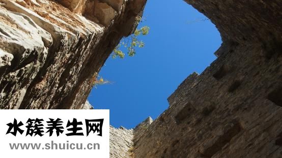 什么是瘧疾
