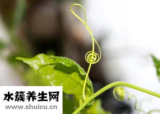 壓瘡分期四期